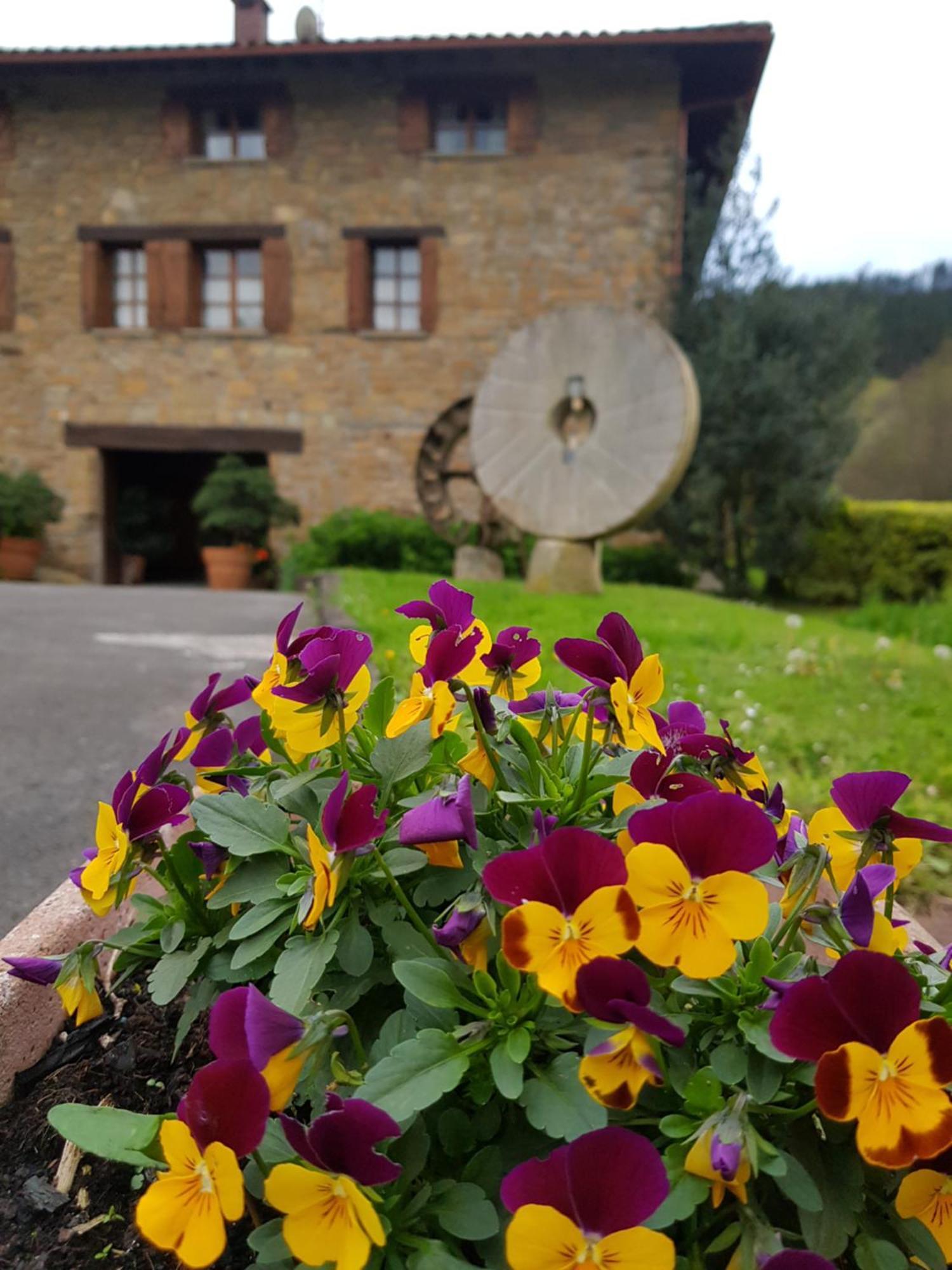Agroturismo Iberreko Errota Muxika Exterior photo